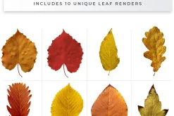 Autumn Leaves