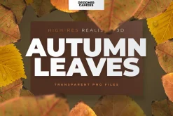 Autumn Leaves