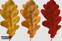 Autumn Leaves