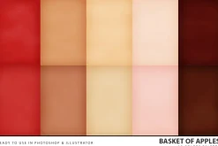 Autumn Palettes