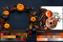 Autumn Procreate color palette.