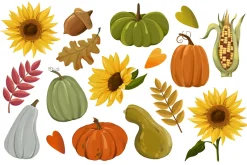 Autumn Pumpkin, Thanksging Clipart