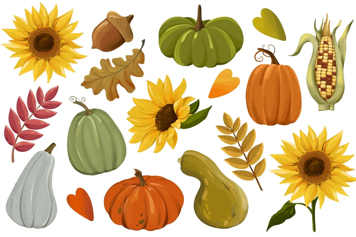 Autumn Pumpkin, Thanksging Clipart