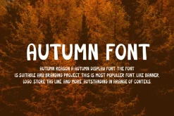 Autumn Reason - Tropical Font