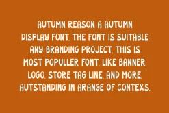 Autumn Reason - Tropical Font