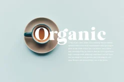Avalanche - Serif Font