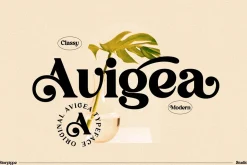 Avigea Modern Serif Font Display