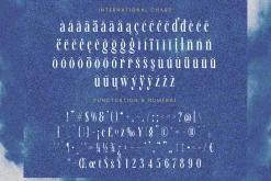 Awesome Shorten Tall Serif Display