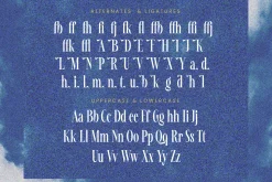 Awesome Shorten Tall Serif Display