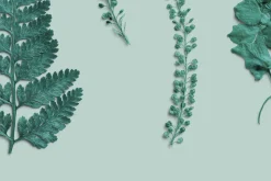 Azure Pressed Botanical PNG Pack