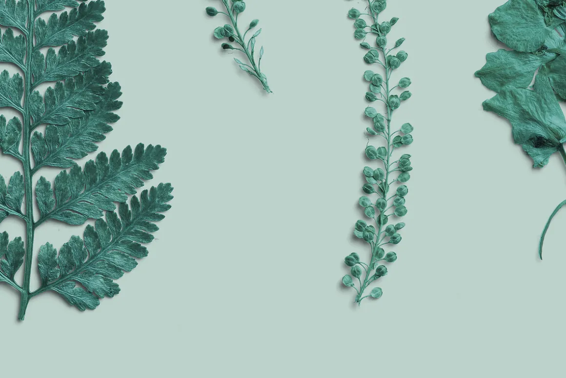 Azure Pressed Botanical PNG Pack