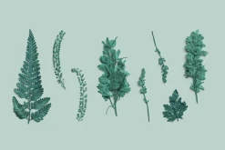 Azure Pressed Botanical PNG Pack