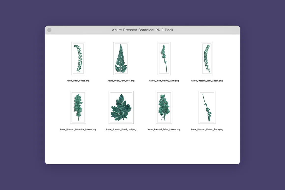 Azure Pressed Botanical PNG Pack