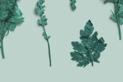 Azure Pressed Botanical PNG Pack