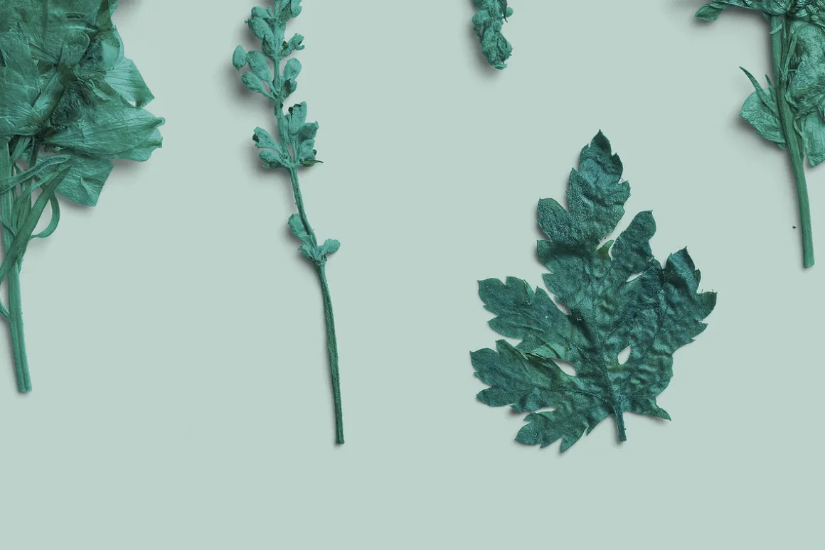 Azure Pressed Botanical PNG Pack