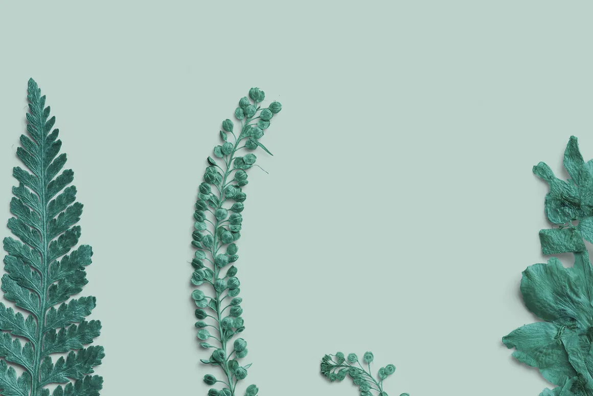 Azure Pressed Botanical PNG Pack