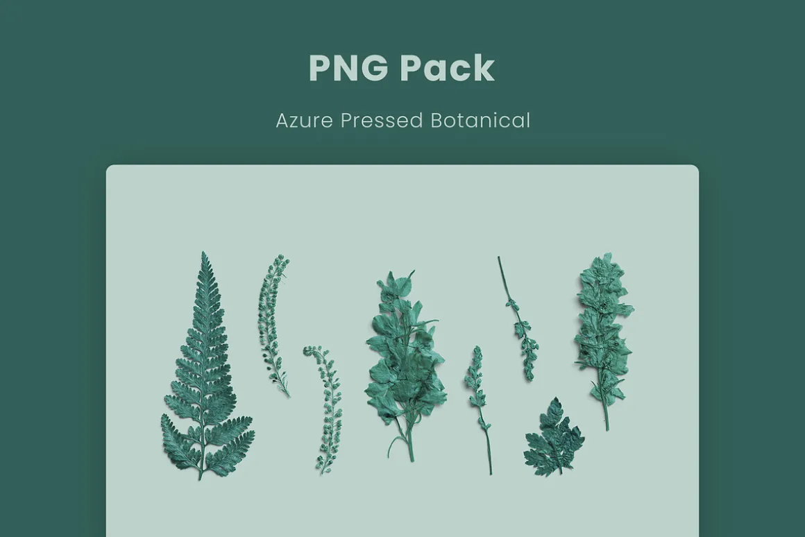 Azure Pressed Botanical PNG Pack
