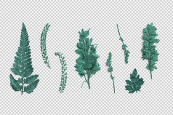 Azure Pressed Botanical PNG Pack