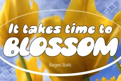 Bages – Bubble Font