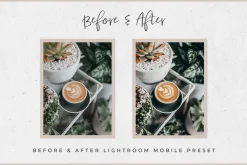Bali Lightroom MOBILE Presets