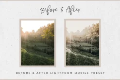 Bali Lightroom MOBILE Presets