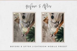 Bali Lightroom MOBILE Presets