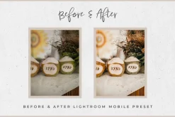Bali Lightroom MOBILE Presets