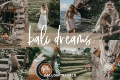Bali Lightroom MOBILE Presets