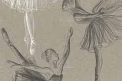 Ballet Dancer Collection