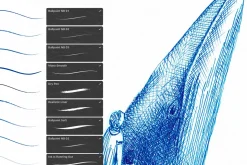 Ballpoint Brushes For Procreate
