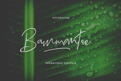 Bammantoe Typeface