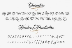Bandito Script Font