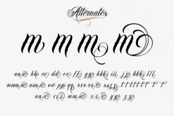 Bandito Script Font