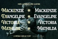 Barqen A Vintage Display Font LS