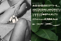 Barviera Font Duo