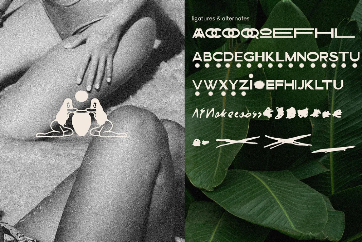 Barviera Font Duo