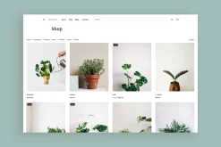 Basho Pro - Blog & WooCommerce Theme