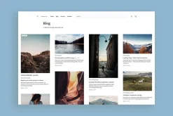 Basho Pro - Blog & WooCommerce Theme