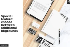 Basic Company Identity Mock-ups Set