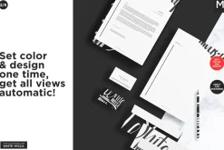 Basic Company Identity Mock-ups Set