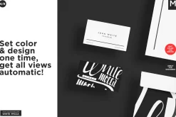 Basic Company Identity Mock-ups Set