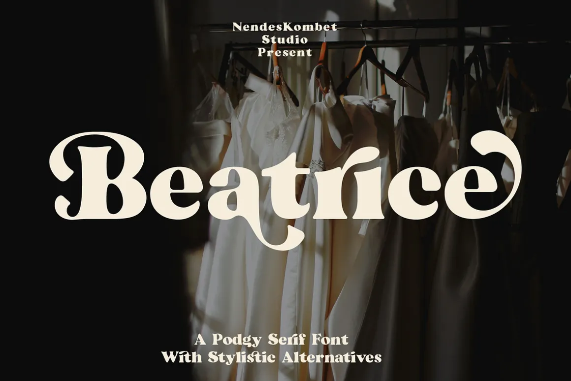 Beatrice - Retro Serif Font