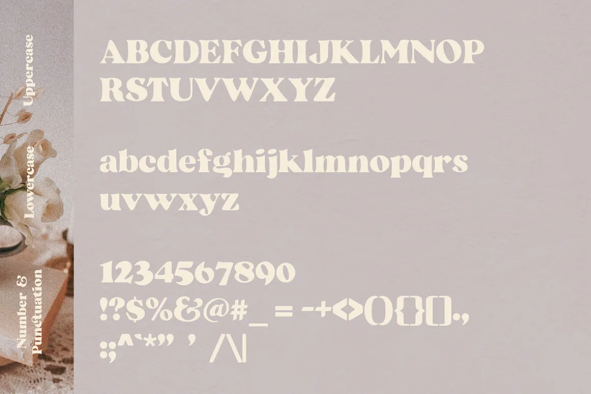Beatrice - Retro Serif Font