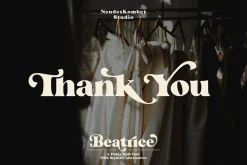 Beatrice - Retro Serif Font