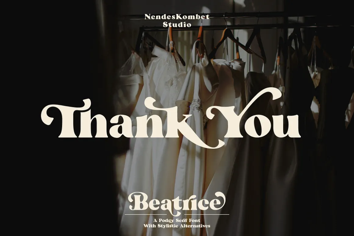 Beatrice - Retro Serif Font
