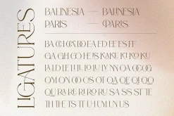 Beauty Luxury - Ligature Serif