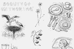 Beauty of Withering: Line Art set