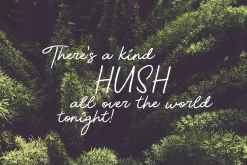 Beauty Script Font