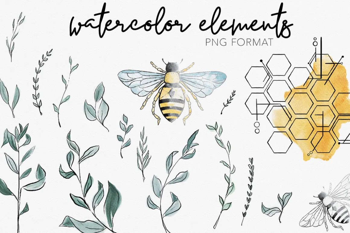 BEES & BOTANICALS | Modern Graphics