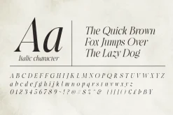 Beige Culture - Luxury Serif